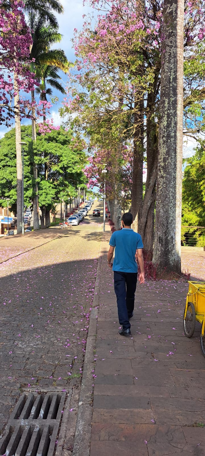 DIÁRIO DE UM&nbsp;VIAJANTE